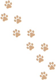 Lion paw print